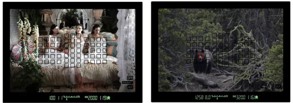 Smartfon vs lustrzanka: Który wybór zapewni lepsze zdjęcia?