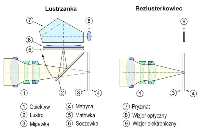 Lustrzanka bez lustra: Dlaczego warto wybrać aparat bezlusterkowy?