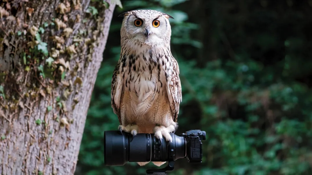 Jak zrobić dobre zdjęcia lustrzanką – proste techniki dla każdego