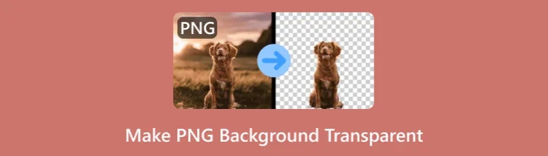 Jak zrobić zdjęcie bez tła w prosty sposób - metody i narzędzia