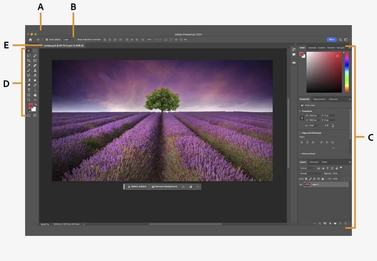 Photoshop co to? Poznaj jego funkcje i zastosowania w grafice