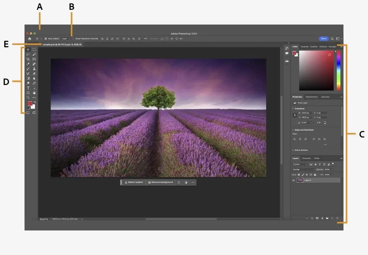 Photoshop co to? Poznaj jego funkcje i zastosowania w grafice