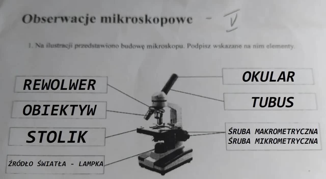 Obiektyw mikroskopu: kluczowe funkcje i zastosowania w mikroskopii