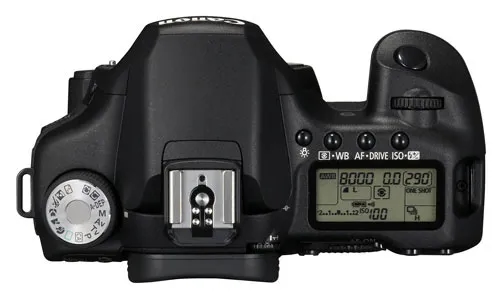 Lustrzanka Canon 50D - co musisz wiedzieć przed zakupem?