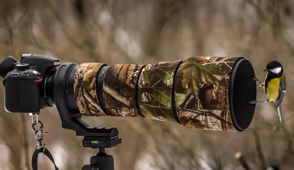 Jaki obiektyw do nikona d5000? Najlepsze wybory dla każdego fotografa